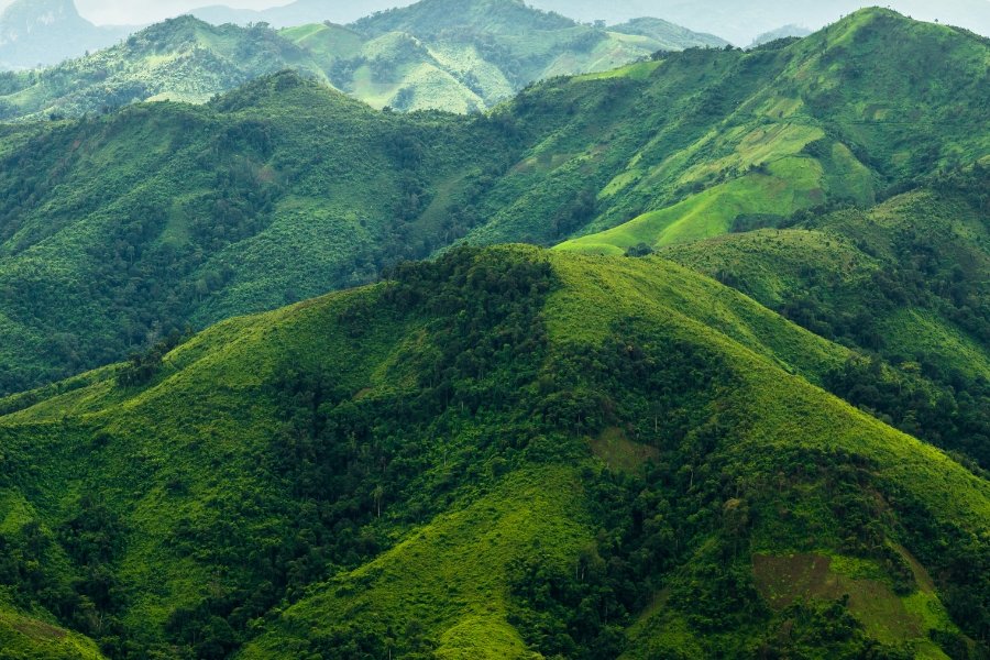 Yeoor Hills